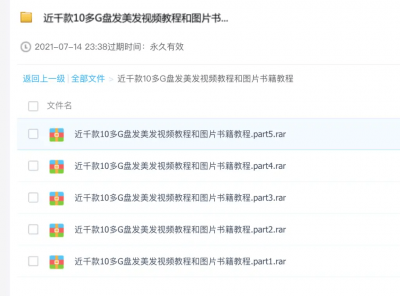 美容美发视频教程和图片书籍教程近千款10多G盘发美发