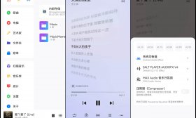 Salt Player(原椒盐音乐）v10.0.2正式版 本地音乐播放器