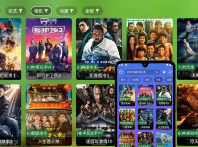TVbox 影视TV 免费无广支持手机和电视盒子