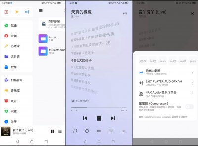 Salt Player(原椒盐音乐）v10.0.2正式版 本地音乐播放器