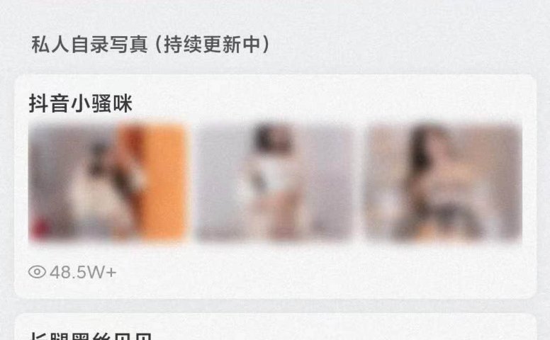 WordPress主题 首发 磨砂付费图片系统