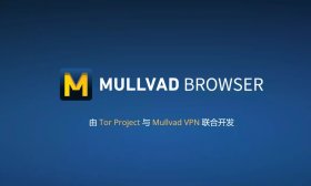 隐私浏览器 Mullvad Browser for Win & Mac &linux