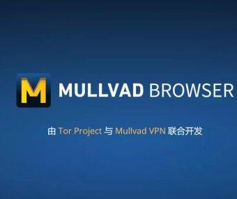 隐私浏览器 Mullvad Browser for Win & Mac &linux